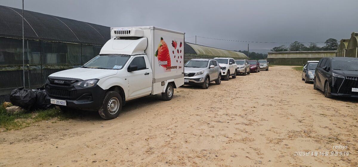Bokor Strawberry Farm Cold Chain Vehicle