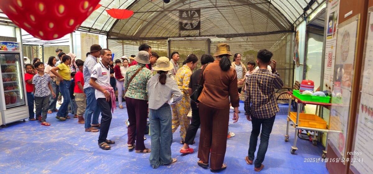 Local visitor experience