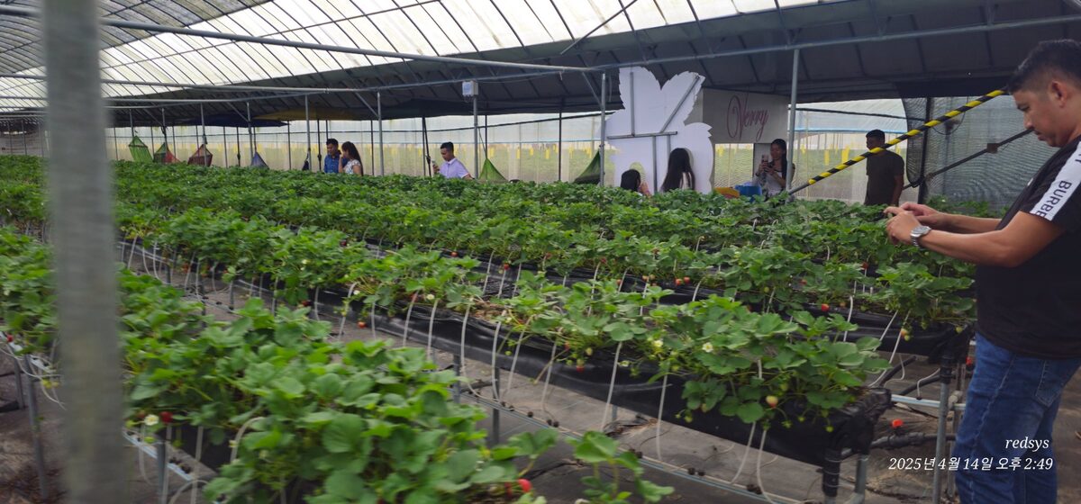 Local Visitors at Cambodia Farm